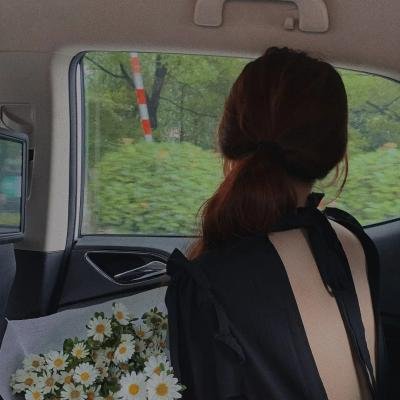丝黛芬妮